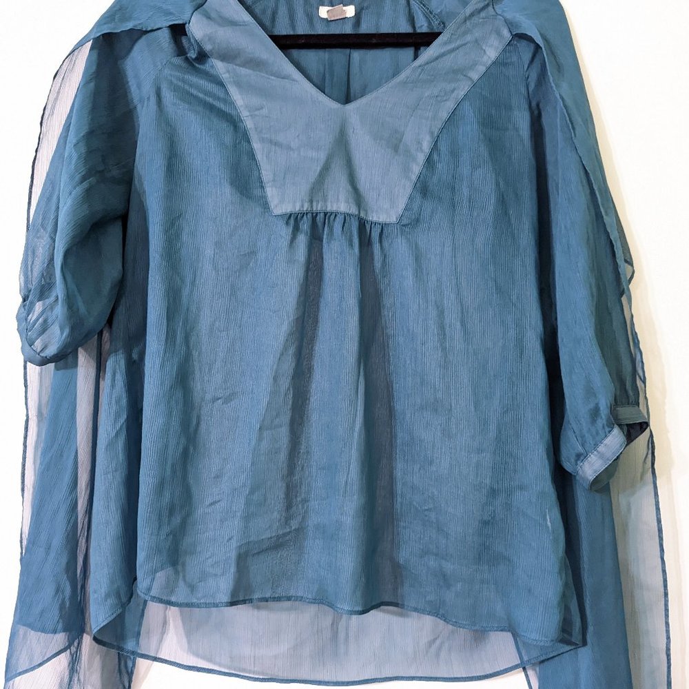 Sheer Blouse